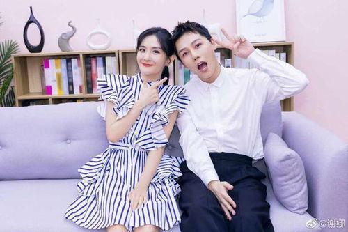 刘维谢娜最新爆料,揭秘娱乐圈背后的惊人真相！