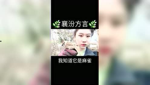 襄汾头条网友爆料视频,视频揭露惊人真相！